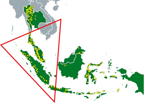 Geothermal Medium Temperature Resources in Malaysia, Thailand, and Indonesia